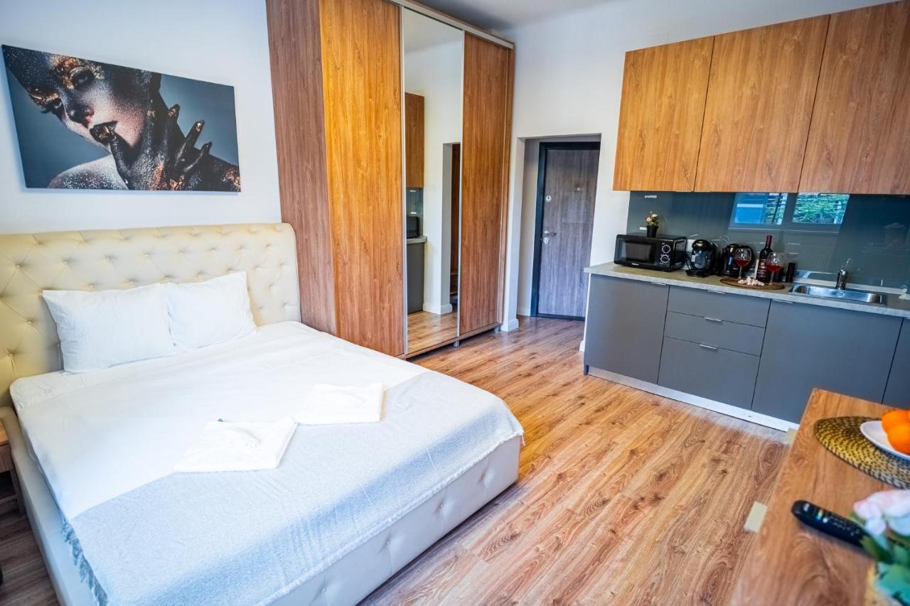 Cozy Apartments Near Calea Victoriei Βουκουρέστι Εξωτερικό φωτογραφία